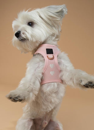 SoHo Dog Harness - Sweetheart - Pup List