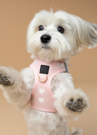 SoHo Dog Harness - Sweetheart - Pup List