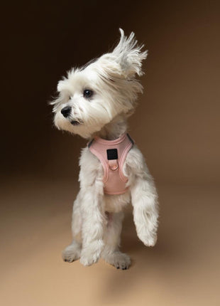 SoHo Dog Harness - Blush Pink - Pup List