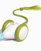 Wicked Mouse Neo - Pup List