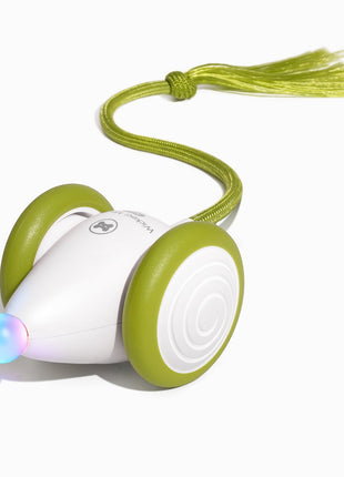 Wicked Mouse Neo - Pup List