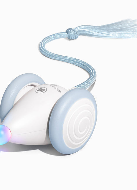 Wicked Mouse Neo - Pup List