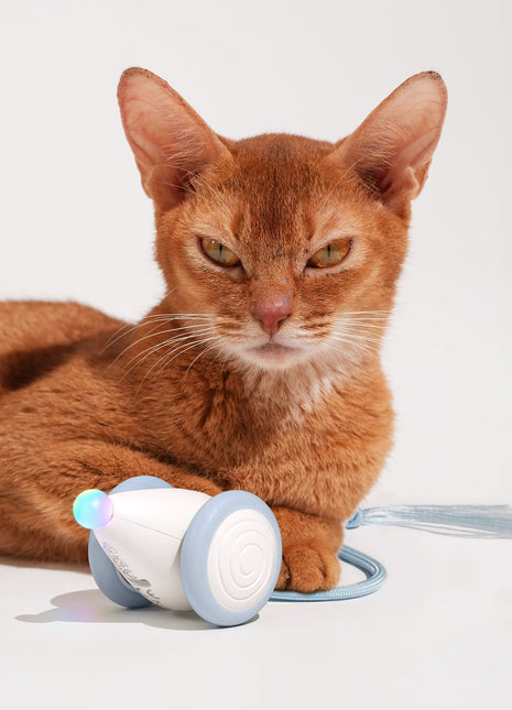 Wicked Mouse Neo