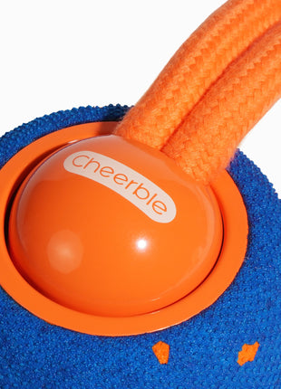 Wicked Ball Rolly