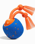 Wicked Ball Rolly