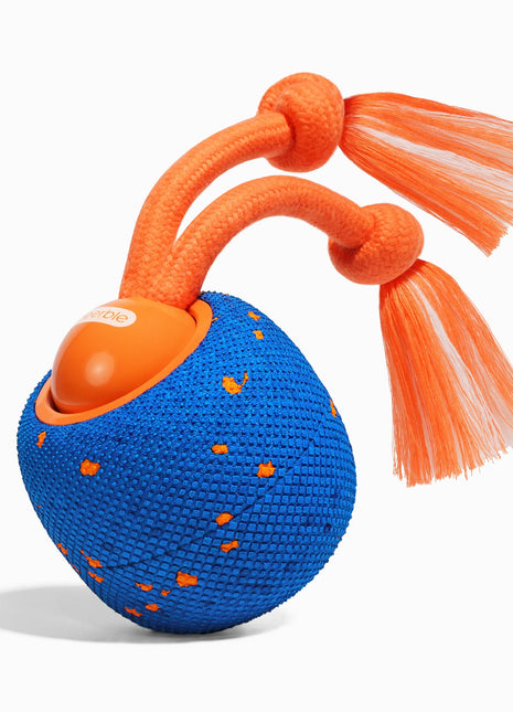 Wicked Ball Rolly