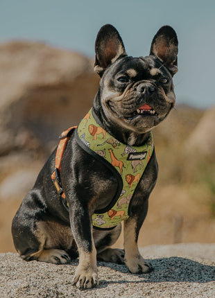 Wild Thing Reversible Harness - Pup List
