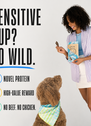 Wild Boar Jerky