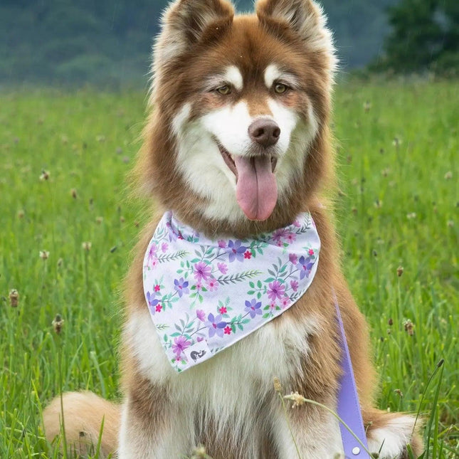 Wildflower Meadow Dog Bandana
