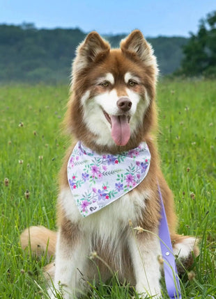 Wildflower Meadow Dog Bandana & Matching Keychain