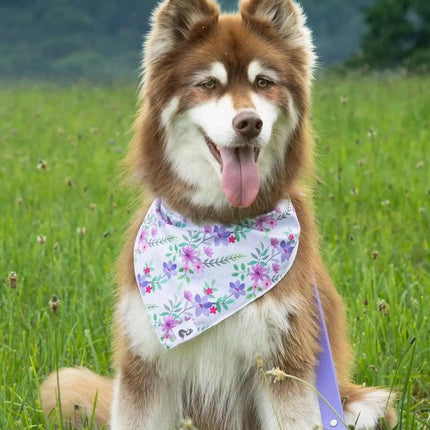 Wildflower Meadow Dog Bandana & Matching Keychain