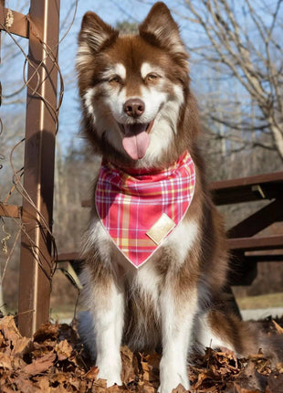 Wine Plaid Dog Bandana