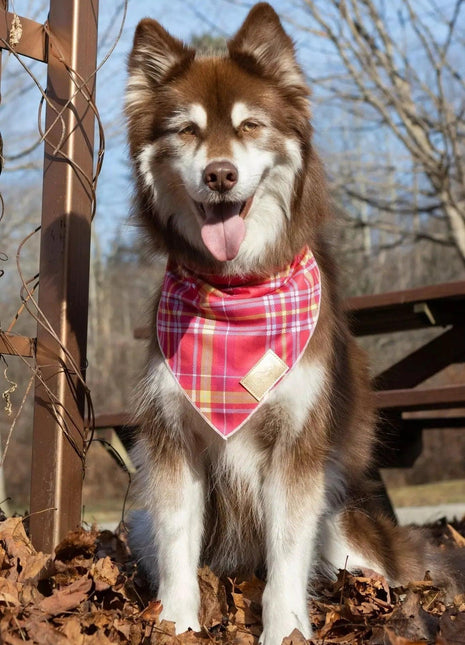 Wine Plaid Dog Bandana