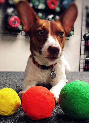 WUNDERball - Best Fetch Toy