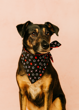 XO Valentines Dog Bandana