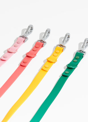 Luxe Leash - Poppy - Pup List