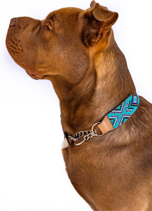 Saint-Tropez Sambboho Martingale dog collar (Training)
