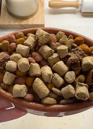 FreezFootball - Tough Enrichment Football Toy