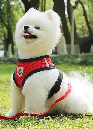 Adjustable Dog Harness Reflective No-Pull Soft Padded
