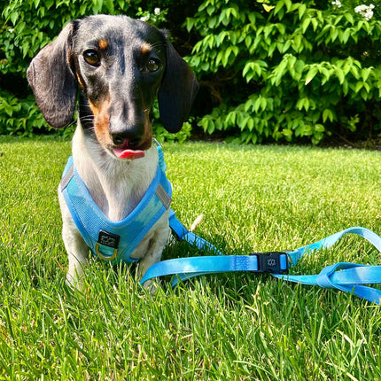Summer AIR Harness - Ocean