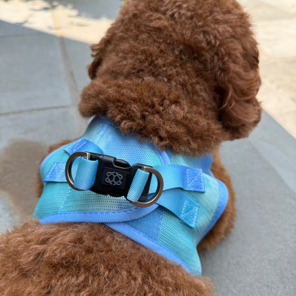 Summer AIR Harness - Ocean