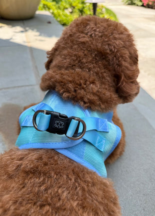 Summer AIR Harness - Ocean