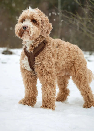 'Lilac' - Sherpa Dog Harness
