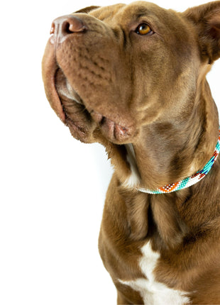 Aztec Sambboho dog collar (rolled)