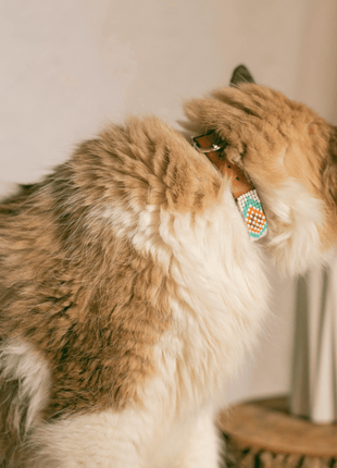 Aztec Sambboho cat collar