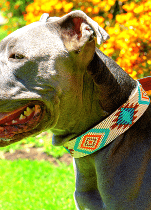 Aztec Sambboho dog collar