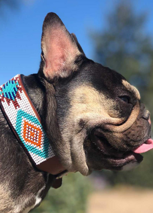 Aztec Sambboho dog collar