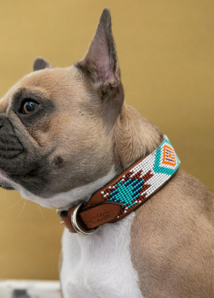 Aztec Sambboho dog collar