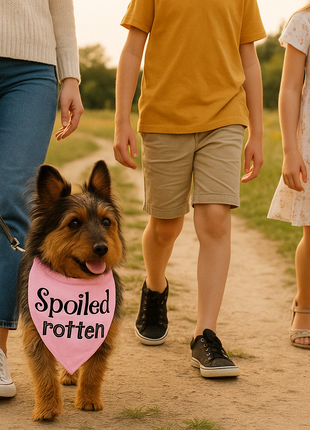 Parisian Pet 'Spoiled Rotten' Bandana for Dogs & Cats - Trendy, Comfortable, Funny Pink Dog Bandana