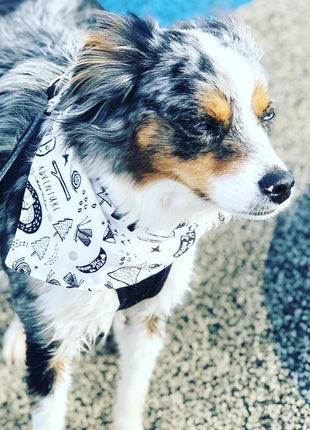 "Adventure" Dog Bandana
