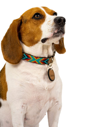 Bahamas dog collar (quick release)