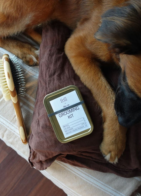 Two-Sided Pet Brush – Bristle & Wire for Shedding & Detangling