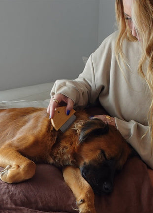 Bamboo Flea Comb for Dogs & Cats – Gentle & Eco-Friendly