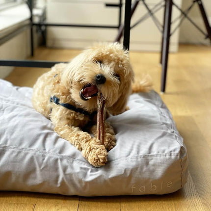 Bed Cover