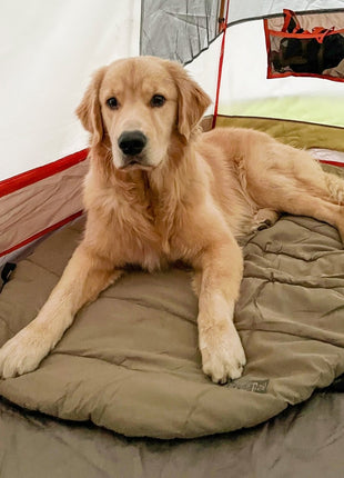 Bed 'n a Bag Travel Dog Bed