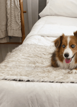 PupProtector™ Waterproof Bed Runner - White with Brown Accents