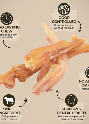 Beef Tendon