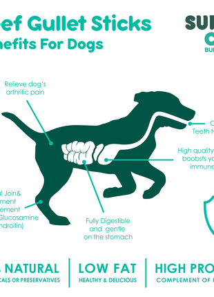 6" Beef Gullet Sticks 8oz (25-Pack)
