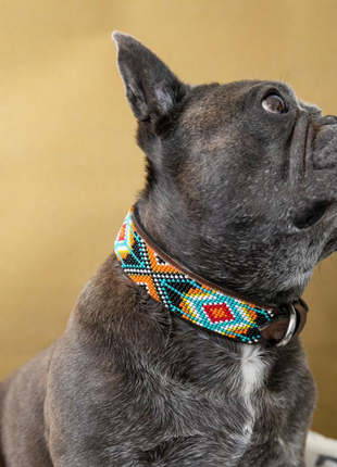 Biarritz Sambboho dog collar