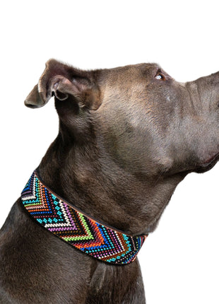 Bixie Sambboho dog collar