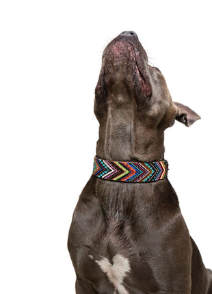 Bixie Sambboho dog collar