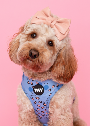 Wild Periwinkle Adjustable Harness