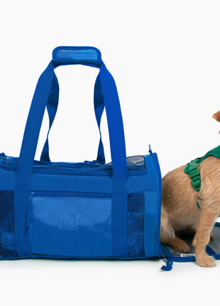 Travel Buddy - Pet Carrier