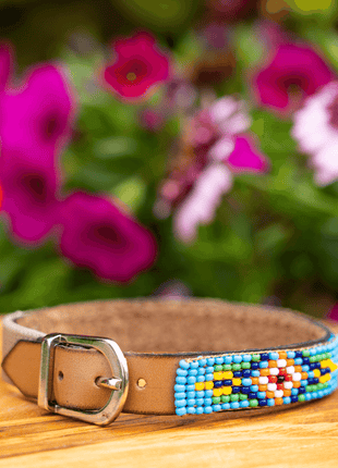 Blue Vogue Sambboho cat collar