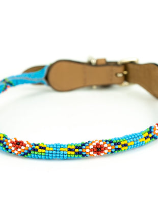 Blue Vogue Sambboho dog collar (rolled)