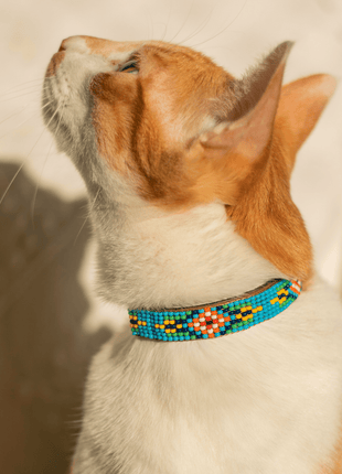 Blue Vogue Sambboho cat collar